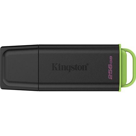 Kingston Technology DataTraveler 256GB Tragbarer USB 3.2 Gen 1 Exodia Schwarz + Grün (1/4)
