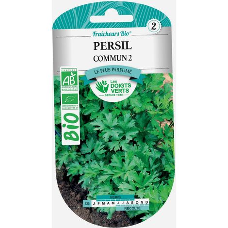 Semillas de perejil común 2 BIO Los Dedos Verdes (1/2)