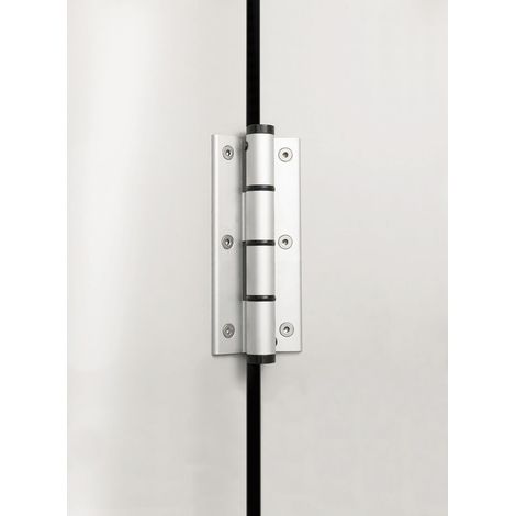 Federband SF 120 dreiteilig, Bandhöhe 120 mm, Rollen ø 16 mm,Alu silber eloxiert (1/4)