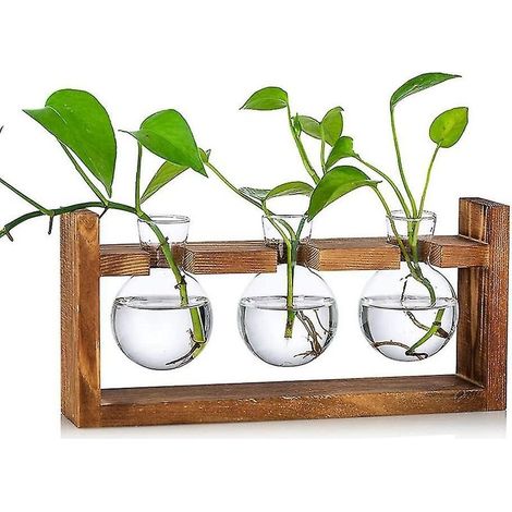 Vase à fleurs vintage en verre borosilicate – Support en bois pour tubes à essai – Décoration intérieure pour plantes aquatiques et aériennes (1/5)