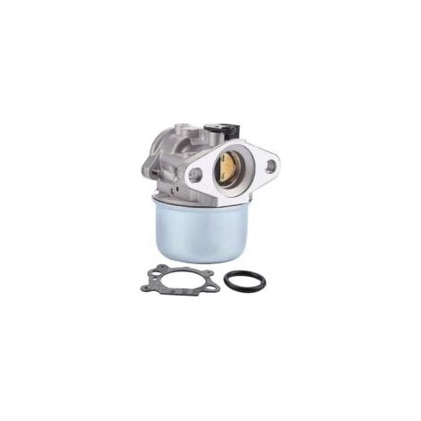 Carburateur 799868 avec embase de filtre à air 496116 795259, compatible avec les modèles 124L02, 124T02, 124T05 et 124T07.