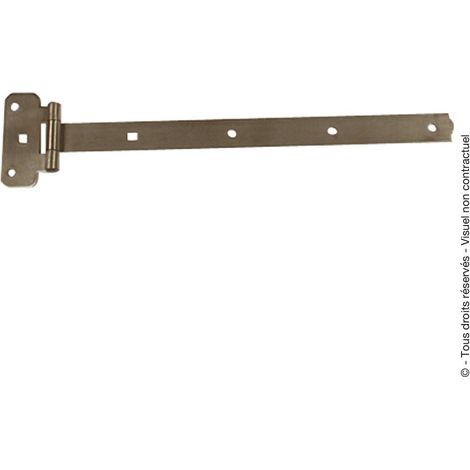 Bisagra Te Festonne N/AN/A, H.3 X L.500 X D.3 Mm AFBAT