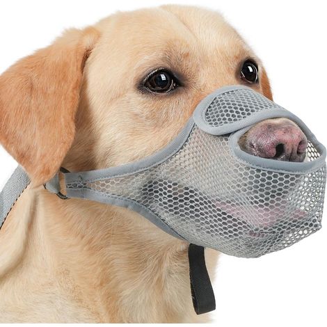 Muselière pour Chiens Muselière Souple Réglable Respirantes Empêchent Prévient L'aboiement, D'ingérer des débris et Mordre Un étranger,xs (1/5)
