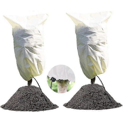 Housse d'hivernage pour plantes, protection des plantes, 80 x 60 cm, réutilisable (1/4)