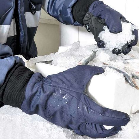 Guanti Da Cella Frigorifera Cofra Tundra Cat II  Fino a -30 °C Blue Navy-Nero 9
