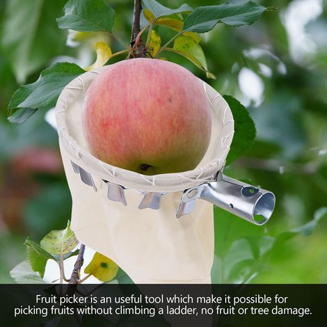 Tête de cueille-fruits, panier, outils de cueillette, récupérateur de fruits pour la cueillette de pommes