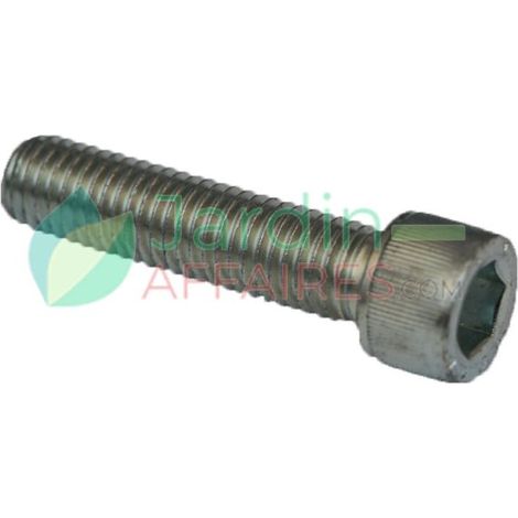 Vite Uni 5931 M 12 x 50 Delmorino 40100293