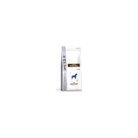 Croquettes Veterinary Diet Gastro Intestinal pour Chien - Royal Canin - 7,5Kg (1/3)