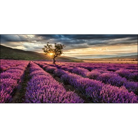 Lupia - Quadro su tela canvas DEEP 77X143 LAVENDER GARDEN (1/3)
