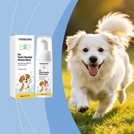 Mousse dentaire en spray pour animaux - Nettoie les dents et rafraîchit l'haleine, convient aux chats et aux chiens, usage quotidien - 60 ml (1/5)