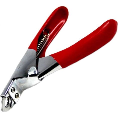 Coupe-ongles professionnel pour chiens et chats, pour un entretien soigné des griffes à domicile.-AquaForge (1/4)
