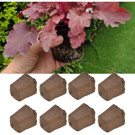 50 pièces de bouchons de germination Environet pour démarrage de graines, culture hydroponique et en sol
