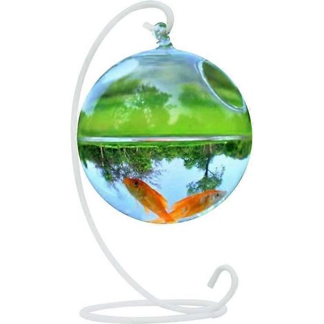 Voici une proposition de titre en français, optimisé pour le SEO et respectant la limite de 190 caractères :
Poisson suspendu créatif pour bureau, vase aquarium avec support pour bol, décoration mais (1/4)