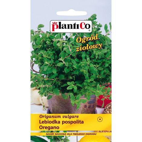 Graines seklos-lt oregano annuel 0,1 g facile à cultiver