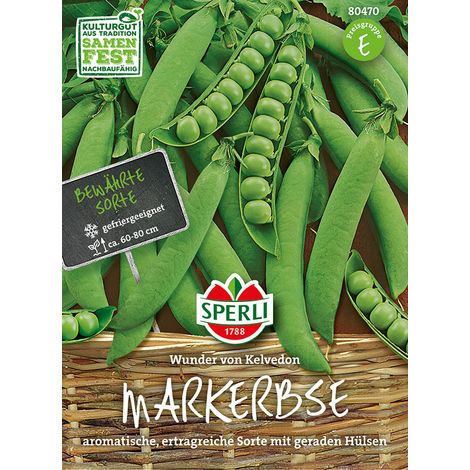 Sperli Markerbsen Wunder von Kelvedon - Gemüsesamen (1/2)