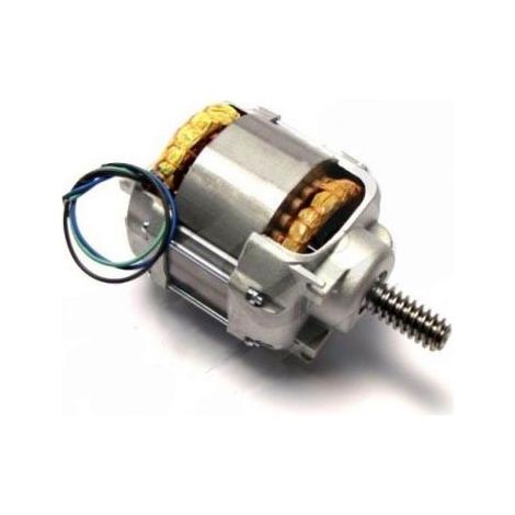 NICE MBA05 Gruppo Motore Elettrico 230V MOBY MB4005 MB4006 MB5015 5016 Ricambio