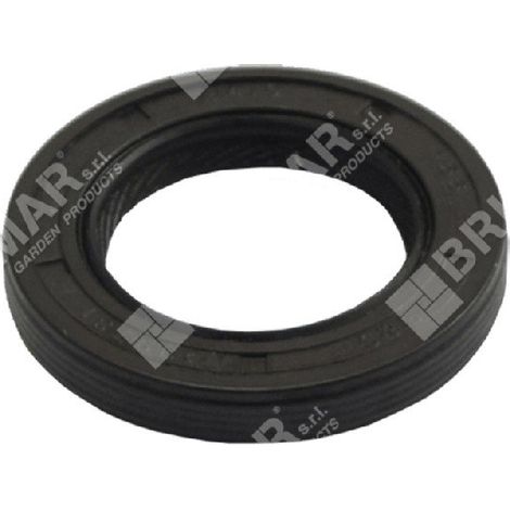 BRIGGS & STRATTON Dichtring 399781S - 020235