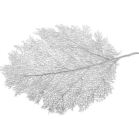Lot de 6 dessous d'assiette en forme de feuille argentés en plastique 40 x 57 x 31 cm - PANGIVO (1/4)