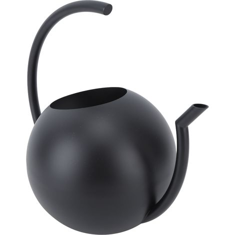 Arrosoir à long bec en acier inoxydable, outil d'arrosage pour plantes d'intérieur et d'extérieur, noir (1/5)