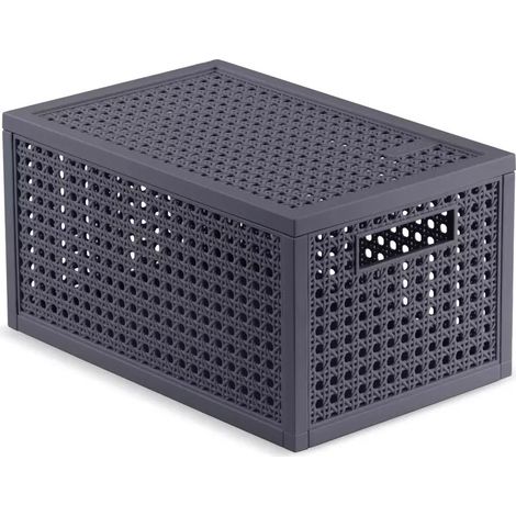 Cesto portaoggetti Curver kaya con coperchio e maniglie integrate