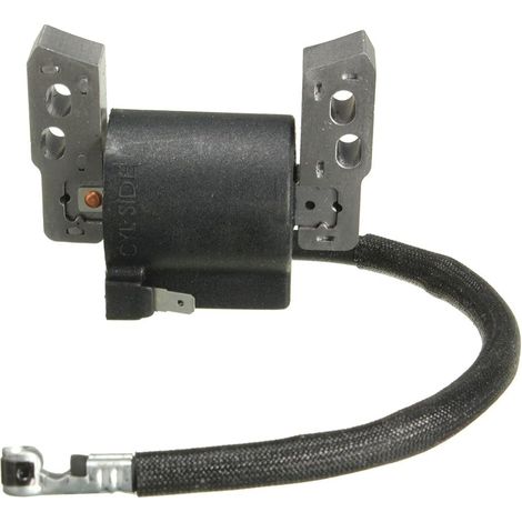 Bobine D allumage Lectronique pour 695711 802574 796964 Noir (1/5)