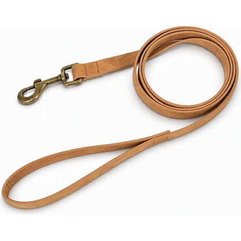 Accessoire de sortie pour chien beige longe seule taille S (1/5)