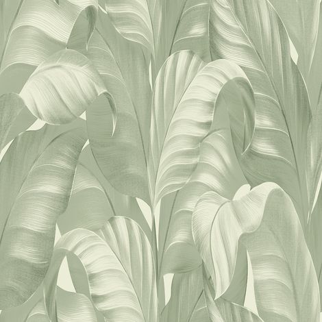Sumatra Palm Wallpaper Sage Green Leaf Botanical Jungle Belgravia Feature Wall (1/4)