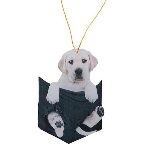 Décoration intérieure de voiture, rétroviseur suspendu, jouet pour chiot ou chat, cadeau, ornement (1/5)