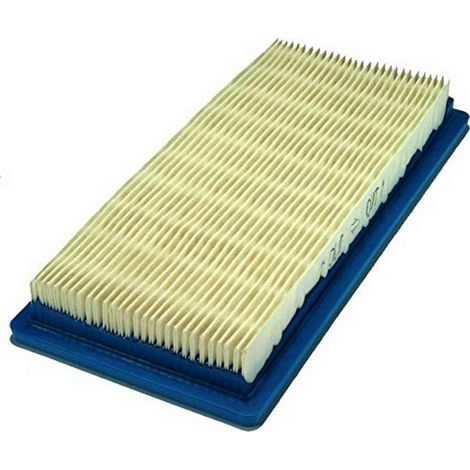 Filtro Air BRIGGS et STRATTON 710266 (1/4)