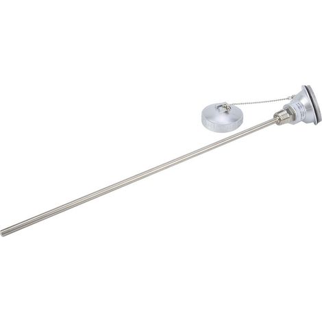 RTD PT100 Temperaturfühler mit 1/2" NPT-Gewinde und Thermoelement-Anschlusskopf (PT 400 mm) (1/5)