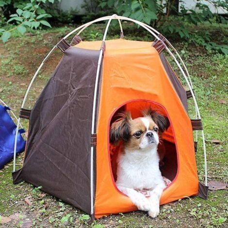 Tente portable pliable pour chien et chat, abri d'extérieur étanche pour animaux Wigwam