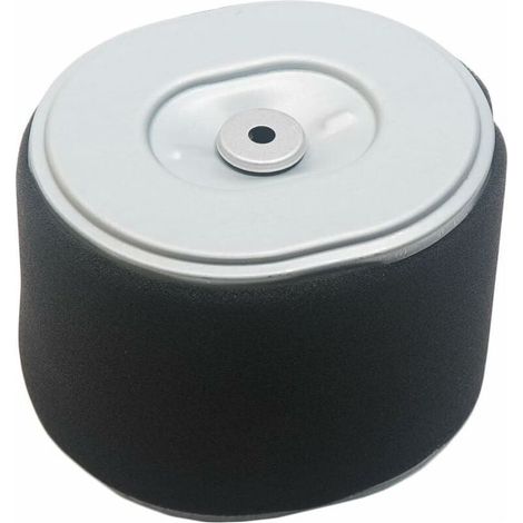 Ecleanfy - (112X59X97Mm Noir)Élément De Filtre À Air Pour Moteur Honda Gx340 Gx390 11Hp (1/5)