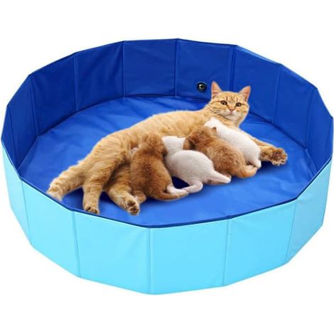 Caisse de mise bas pour chatte de 81 cm (32 pouces) - Sûre et sans stress - Piscine pliable pour animaux de compagnie - Intérieur et extérieur - Eau - 81 cm (32 pouces) (1/5)