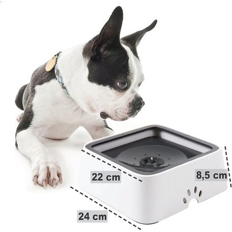 1 Gamelle chien, Anti-déversement, 2 litres, Filtre inclus, Voyage, Plastique (1/5)