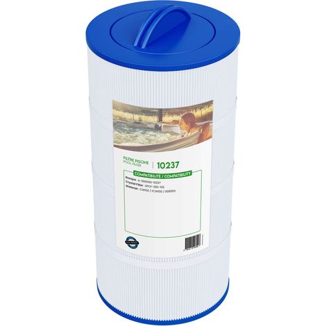Cartouche filtrante piscine CW100 / FCW100 / 008553 - Classique