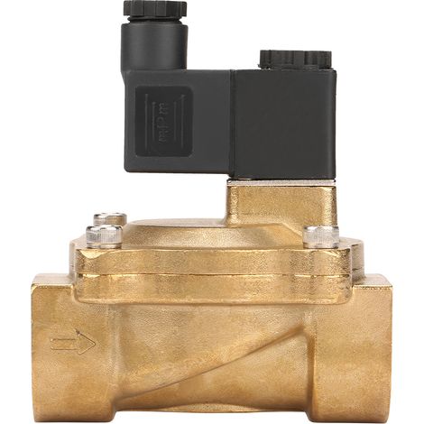 G1 Two-port Two-position Pilot Operated Solenoid Valve for Air Oil Water (AC110V) (1/5)