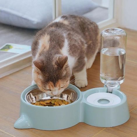 Abreuvoir et alimentateur Automatique pour Chats, Chiens, avec Distributeur d'eau et Distributeur Automatique pour Animaux (B-Blue)