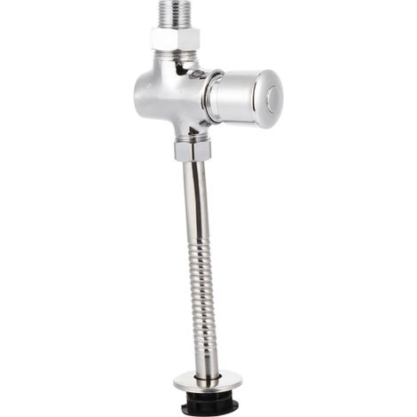 Valve de Chasse D'eau à Temporisation Manuelle en Fer Inoxydable (1/5)