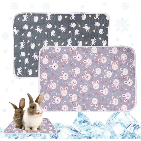 2 PCS Tapis Rafraichissant Lapin, 40x30cm Tapis Fraicheur Lapin, Été Tapis Refroidissant pour Lapins, Cochon d'Inde, Chinchilla, Hamster et Autres Petits Animaux, Cooling Mat Cat Petit (1/5)