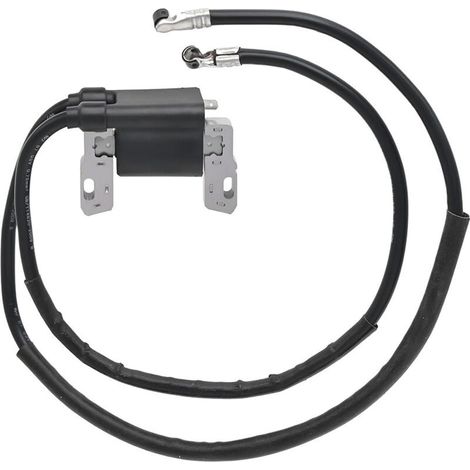 Pièces détachées pour tondeuses Briggs & Stratton : bobine d'allumage haute tension 394891 422707 (1/4)