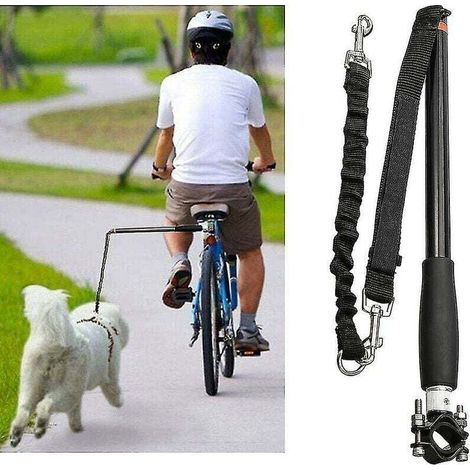 Laisse de vélo pour chien élastique 700mm Acier inoxydable Installation facile sur porte-vélo Pour chiens à haute énergie (1/5)