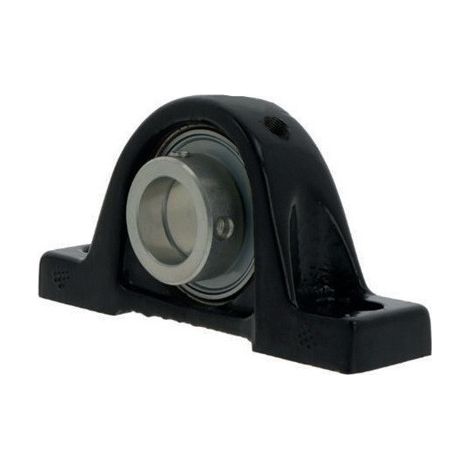 Unidad de soporte de pie AELUP206 D1 Anillo de fijación excéntrico de 31,75 mm NTN