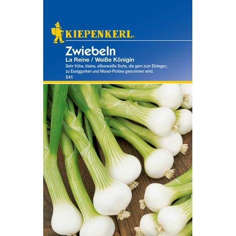 Zwiebeln La Reine Preisgruppe C (1/2)