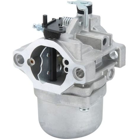 SALALIS Vergaser für Briggs & Stratton 799728 498027 499161 (1/4)