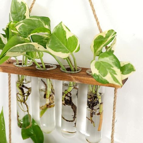 Umweltfreundlicher Hänge-Flaschenpflanzer mit Holzrahmen, dreistufige, reagenzglasförmige Vase, Vintage-Hängeblumentopf aus Glas, Hydrokultur-Pflanzgefäß (1/5)