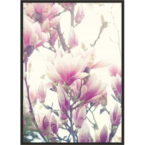 Bild Poster im Rahmen 43x33 cm Blumen P1235 (1/4)