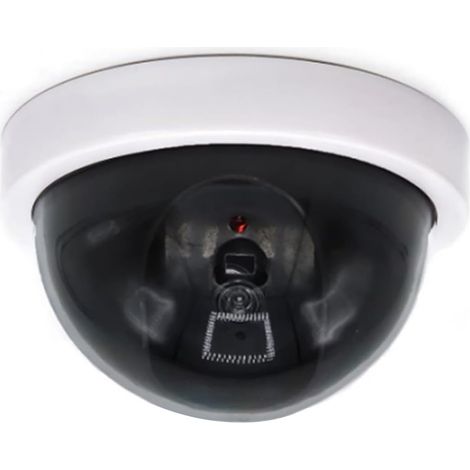 fausses caméras de sécurité avec LED clignotantes pour intérieur et extérieur (blanc) (1/5)