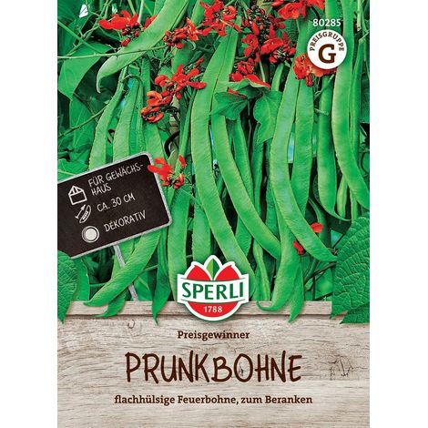 Sperli Prunkbohnen Preisgewinner - Gemüsesamen (1/2)
