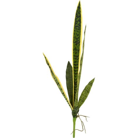 Fusto di sansevieria nippo, altezza 80 cm, verde - Atmosphera créateur d'intérieur (1/2)