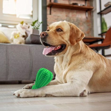 Giocattolo da masticare per cani, denti in gomma, dispenser per snack, dispenser per snack in gomma resistente alle ossa - per cani di taglia media (1/4)